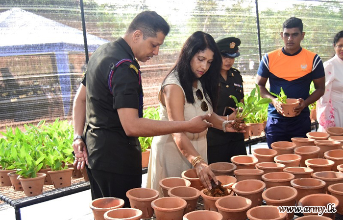 MIC-SVB Inaugurates Orchid Nursery