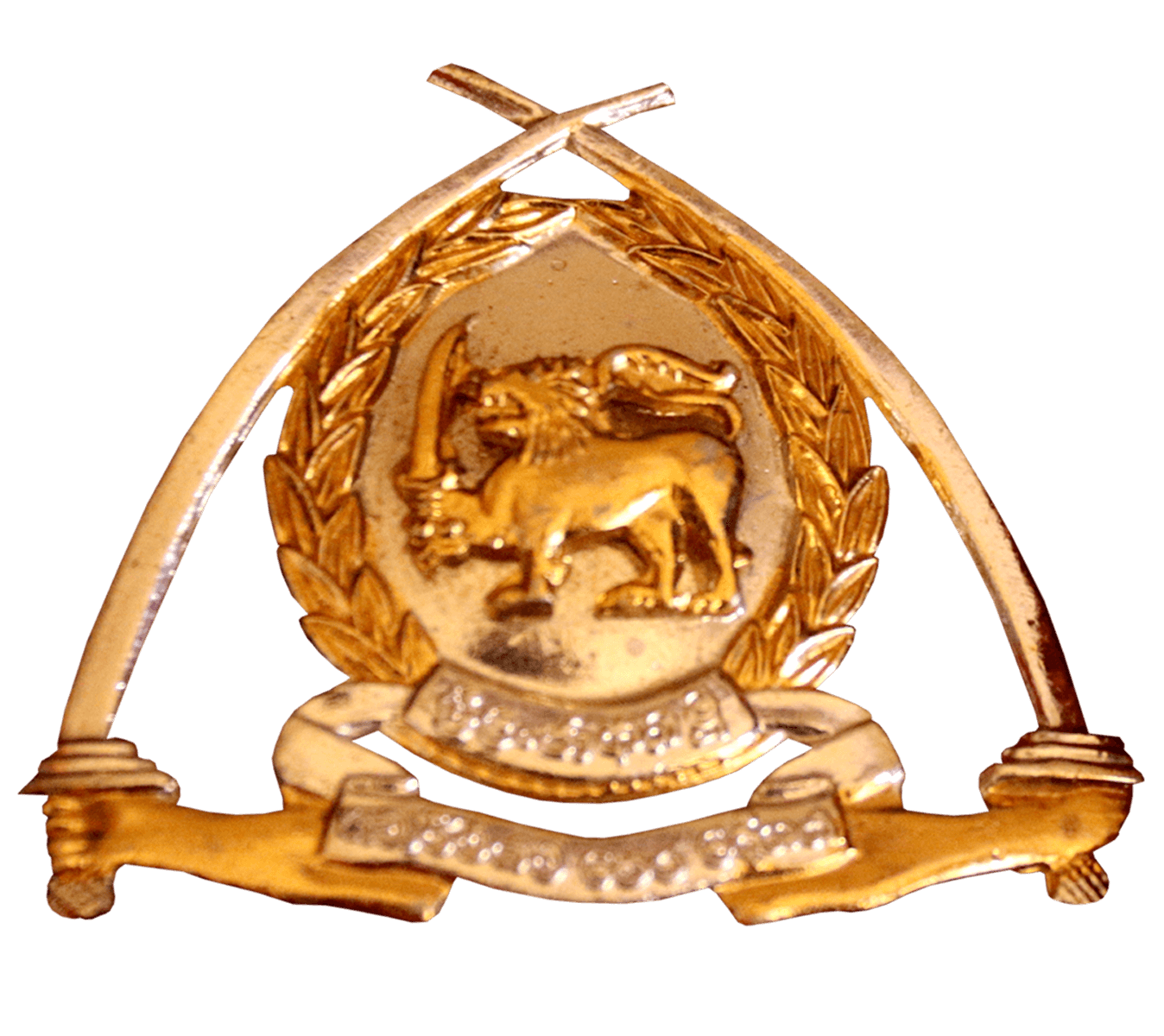 Sri Lanka National Guard